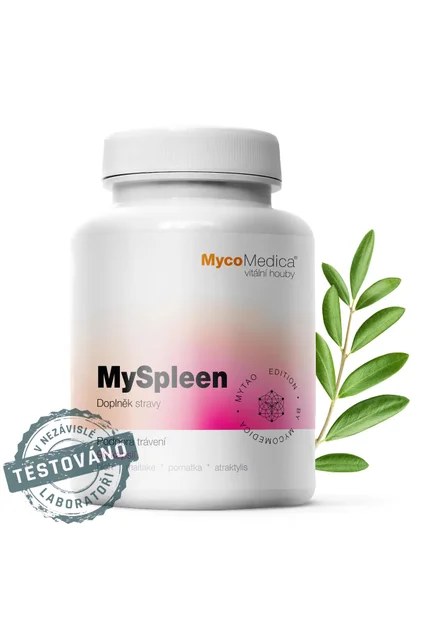myspleen detail s razitkem kopie.761696527