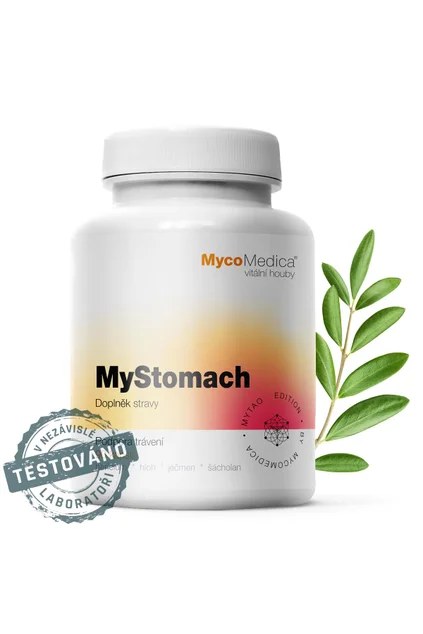 mystomach detail s razitkem kopie.761696527