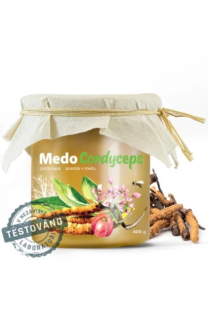 medocordyceps detail s razitkem 2.761696527